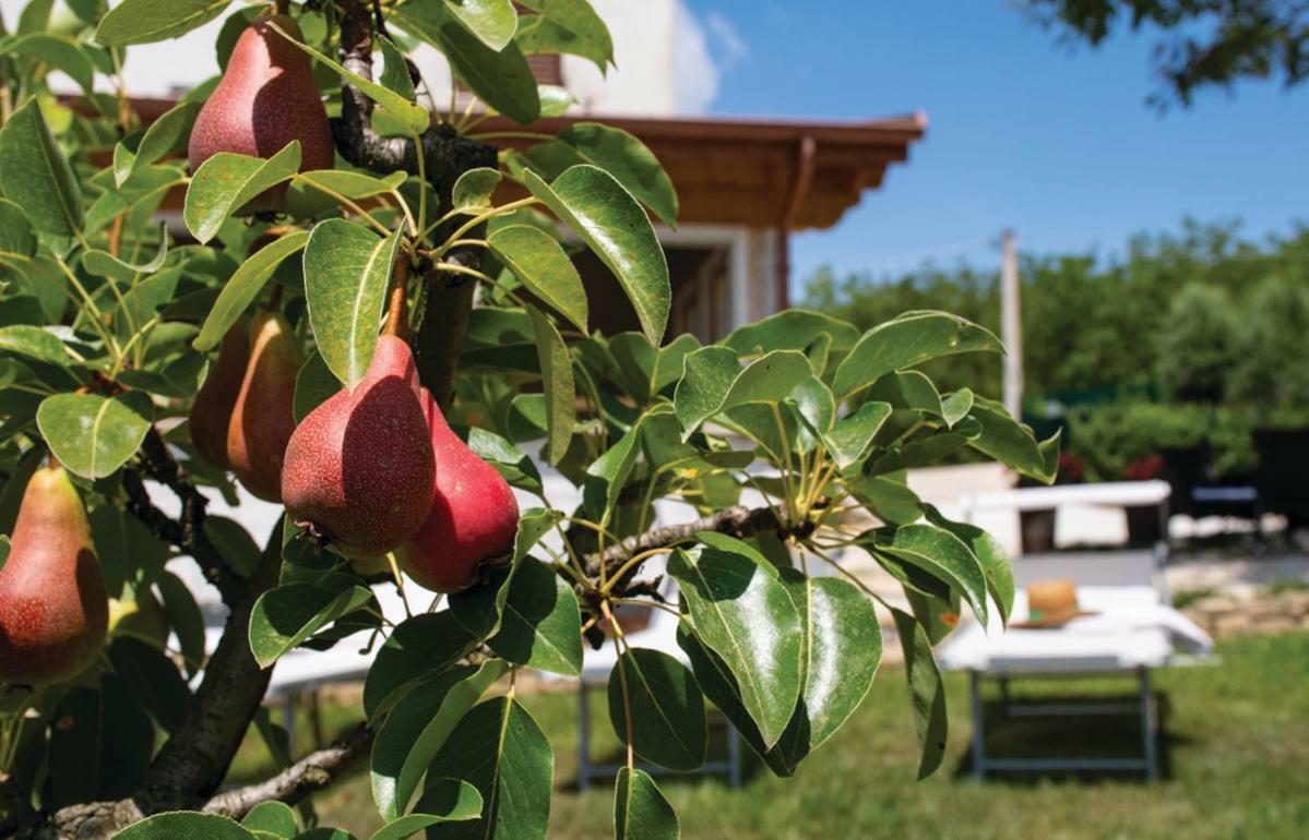 Le Margherite Country House Montefalcone Appennino Exterior foto